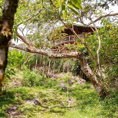 Ecofinca Fuente Alegre Кокорна Екстер'єр фото