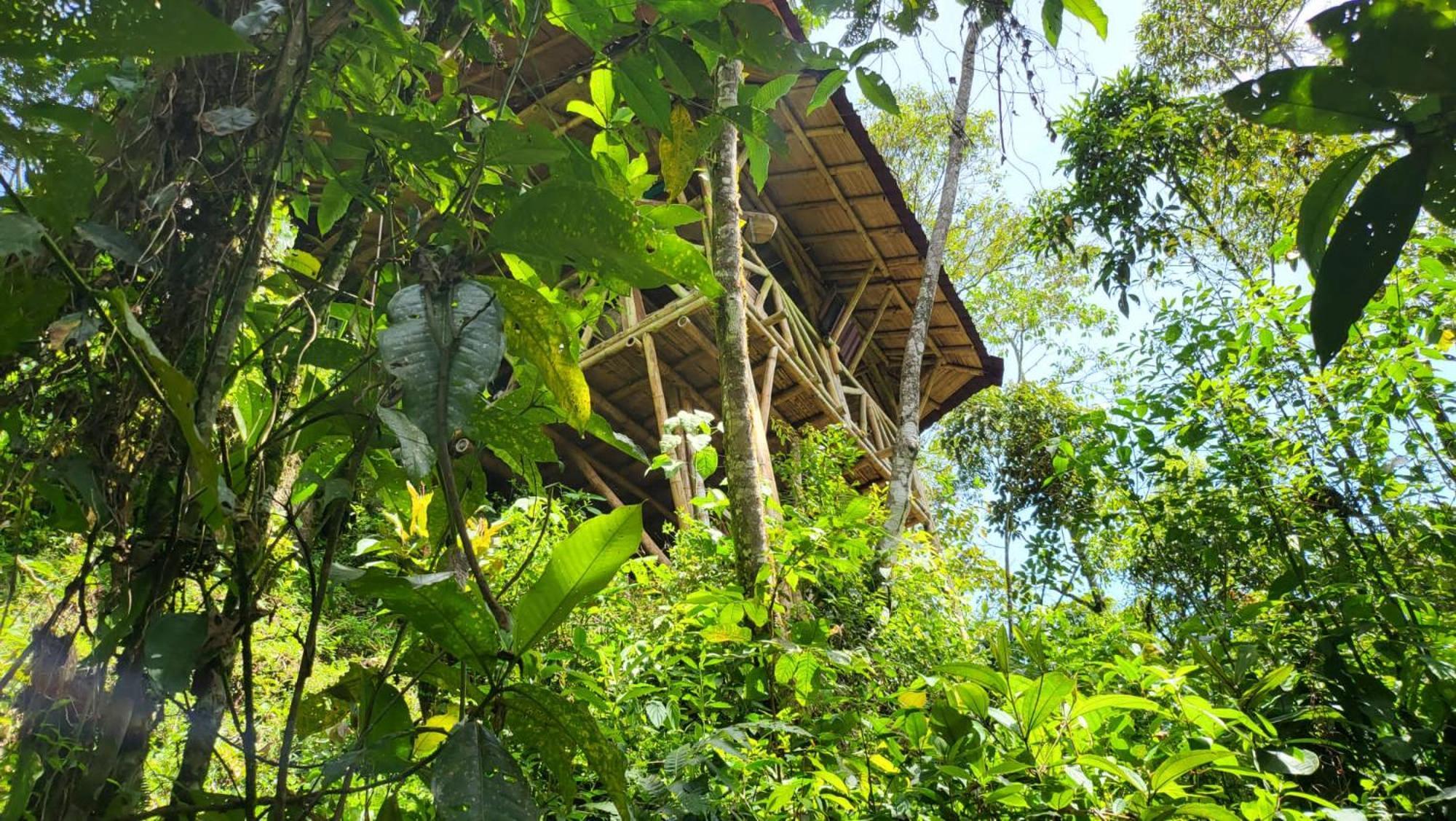 Ecofinca Fuente Alegre Кокорна Екстер'єр фото