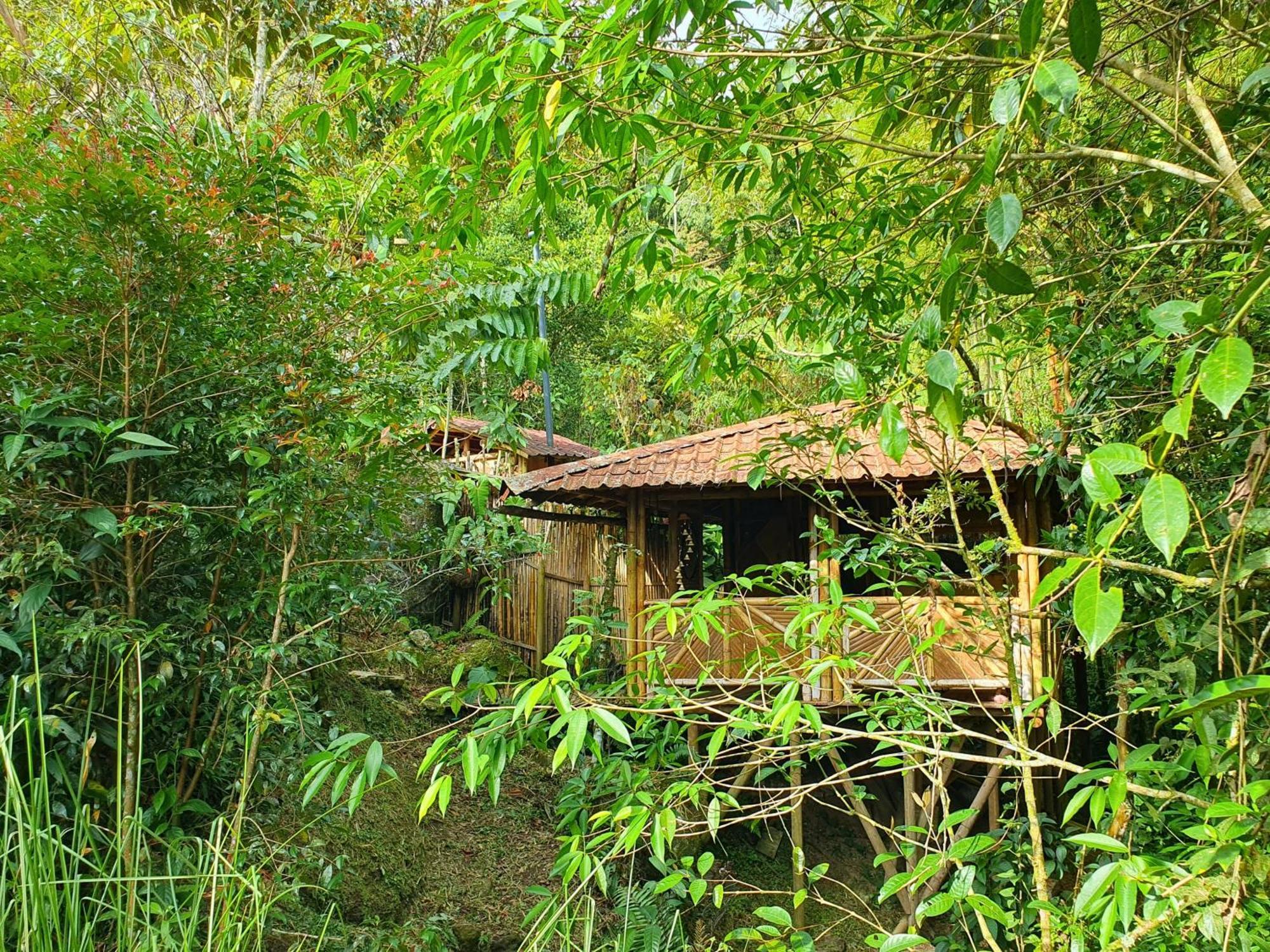 Ecofinca Fuente Alegre Кокорна Номер фото